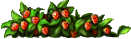 a pile of herbs